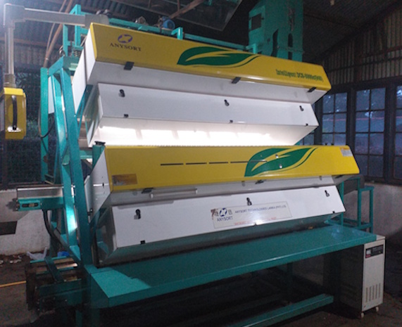 Anysort full service