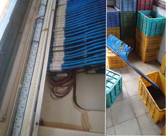   Replacing TIMING Pneumatic tube