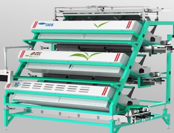 AMD Tea Color Sorters