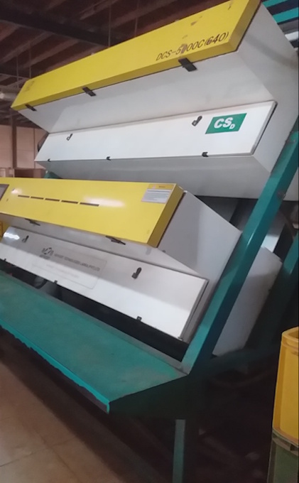 Tea Color Sorter Gallery 1