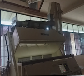 Tea Color Sorter Gallery 2